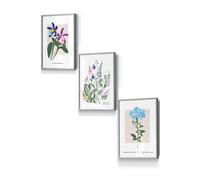 ARTZE Set of 3 Light Grey Framed Vintage Graphical Colourful Wild Flower Market Wall Art | Size: W33 cm x H45 cm x D20mm ARTZE Multicolor W33 cm x H45 cm x D20mm