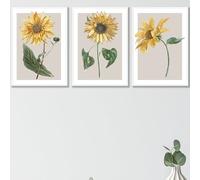 ARTZE Set of 3 Vintage Sunflowers Wall Art Prints Only Size: (A4-21 x 29.7 cm)