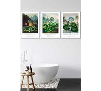 ARTZE Vintage Auricula & Lily Flowers Floral Framed Wall Art - Large in White | Size: W53 cm x H73 cm x D20mm ARTZE White W53 cm x H73 cm x D20mm
