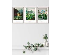 ARTZE Vintage Auricula & Lily Flowers Floral Framed Wall Art - Medium in Walnut | Size: W45 cm x H62 cm x D20mm ARTZE Walnut W45 cm x H62 cm x D20mm
