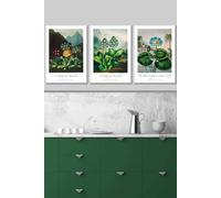 ARTZE Vintage Auricula & Lily Flowers Floral Framed Wall Art - Medium in White | Size: W45 cm x H62 cm x D20mm ARTZE White W45 cm x H62 cm x D20mm