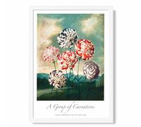 ARTZE Vintage Floral Exhibition - Carnation Flowers Framed Print SIZE: A3 with White Frame in Red ARTZE Red A3