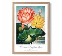 ARTZE Vintage Floral Exhibition - Egyptian Bean Flower Framed Print SIZE: A2 with Oak Frame in Red | Size: A4 ARTZE Red A4