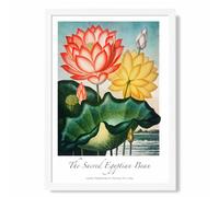ARTZE Vintage Floral Exhibition - Egyptian Bean Flower Framed Print SIZE: A4 with White Frame in Red | Size: A2 ARTZE Red A2