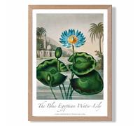 ARTZE Vintage Floral Exhibition - Egyptian Water Lily Framed Print SIZE: A4 with Oak Frame in Green | Size: A2 ARTZE Green A2