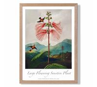 ARTZE Vintage Floral Exhibition - Flowering Plant Framed Print SIZE: A4 with Oak Frame in Red ARTZE Red A4