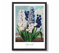 ARTZE Vintage Floral Exhibition - Hyacinth Flowers Framed Print SIZE: A2 with Black Frame in Green | Size: A4 ARTZE Green A4
