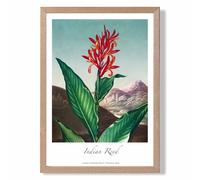 ARTZE Vintage Floral Exhibition - Indian Reed Framed Print SIZE: A2 with Oak Frame in Red | Size: A3 ARTZE Red A3