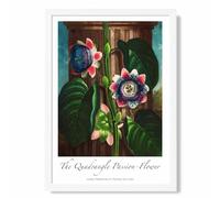 ARTZE Vintage Floral Exhibition - Quadrangle Passion flower Framed Print SIZE: A2 with White Frame in Green | Size: A3 ARTZE Green A3