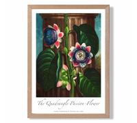 ARTZE Vintage Floral Exhibition - Quadrangle Passion flower Framed Print SIZE: A4 with Oak Frame in Green | Size: A2 ARTZE Green A2