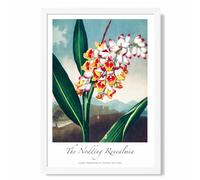 ARTZE Vintage Floral Exhibition - Renealmia Flower Framed Print SIZE: A3 with White Frame in Red | Size: A4 ARTZE Red A4