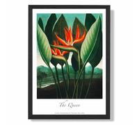 ARTZE Vintage Floral Exhibition - The Queen Tropical Flower Framed Print SIZE: A2 with Black Frame in Red ARTZE Red A2