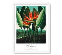 ARTZE Vintage Floral Exhibition - The Queen Tropical Flower Framed Print SIZE: A4 with White Frame in Red | Size: A2 ARTZE Red A2