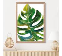 Artze Wall Art Tropical Monstera Abstract Watercolour Botanical Framed Print Size: A3 With Oak Frame