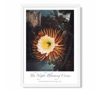 Artze Wall Art Vintage Floral Exhibition - Night-Blooming Flower Art Print With White Frame Size: A4