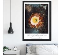 Artze Wall Art Vintage Floral Exhibition - Night-Blooming Flower Framed Print Size: A2 With Black Frame
