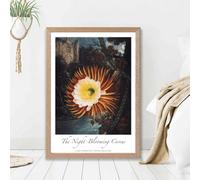 Artze Wall Art Vintage Floral Exhibition - Night-Blooming Flower Framed Print Size: A2 With Oak Frame