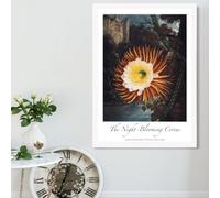 Artze Wall Art Vintage Floral Exhibition - Night-Blooming Flower Framed Print Size: A2 With White Frame