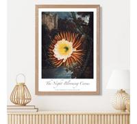 Artze Wall Art Vintage Floral Exhibition - Night-Blooming Flower Framed Print Size: A3 With Oak Frame