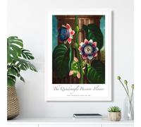 Artze Wall Art Vintage Floral Exhibition - Quadrangle Passion Flower Framed Print Size: A3 With White Frame