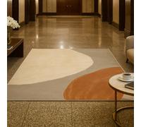 ARUGYTEI Small Rugs Washable,80 x 150 cm, Modern Cream Light Gray Terracotta, Contemporary Modern Soft Low Pile Carpet for Living Room Bedroom Bedside Table,