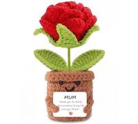 Aruigu Crochet Rose Mum Gift, Handmade Knitted Flower Pot with Heartfelt Thank You Card, Positive Keepsake Present for Mother's Day, Birthday, Christmas, Unique Home Decor from Daughter Son