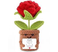 Aruigu Crochet Rose Mum Gift, Handmade Knitted Flower Pot with I Love You Message Card, Positive Keepsake Present for Mother's Day, Birthday, Christmas, Unique Decor from Daughter Son