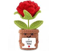 Aruigu I Love You Crochet Rose Gift, Handmade Knitted Flower Pot with Heartfelt Card, Romantic Keepsake Present for Valentines Day, Mothers Day, Birthday, Cute Decor for Her