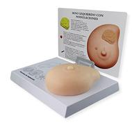 ARUTY Breast Cancer Model - Female Breast Examination Model - Pathological Breast Model - Lumps Pathological Breast Self Test Model Medical Tool