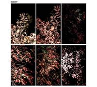 Arve Henriksen - Solidification [7Vinyl/2DVD/Booklet] [VINYL]