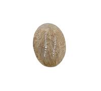 Arwacraft 16 Carat Natural Forest Moss Agate Oval Cabochon Shape Loose Gemstone (Garden Quartz Gemstone)-B0CRBBWBMRNAMZ