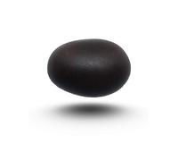 Arwacraft Shaligram Shila | Nepal Gandaki River Saligram Stone | Original Shaligram | Real Shaligram Stone | Shaligram Pathar | 2 Inch (Shila)-B0D1R62YMRNAMZ