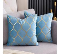 Arwllzz Light Blue Velvet Cushion Covers Decor 40x40 Set of 2 Luxury Golden Decorative Throw Pillow Case Modern Square Pillowcases for Bed Bedroom Couch Car Autumn Fall (16 x 16 Inch)
