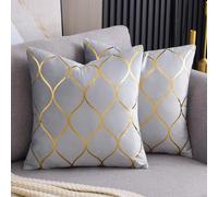 Arwllzz Light Grey Velvet Cushion Covers 16x16 Set of 2 Luxury Golden Decorative Throw Pillow Case Soft Stripes Texture Modern Square Pillowcases for Sofa Couch Bedroom (40 x 40 cm)