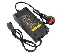 ARyee 59V 48V 2.5A 150W Electric Scooter Battery Charger Compatible with E-bike Scooter Tricycle Drift Trike (PC Plug)