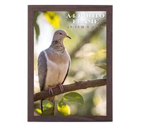 Aryllis A4 Photo Frame, Rustic Brown, Free-standing & Wall Mountable Lightweight Certificate Picture Diploma Frame with Perspex Front