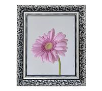 Aryllis Premium Range 12x8 Photo Frame, Silver, Free-standing & Wall Mountable Lightweight Picture Frame with Perspex Front