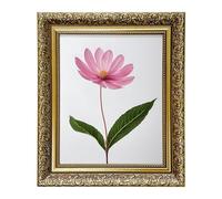 Aryllis Premium Range 7x5 Photo Frame, Gold, Free-standing & Wall Mountable Lightweight Picture Frame with Perspex Front