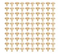 Arythia 50 Sets Chicago Screws for Leather, Brass Flat Head Binding Post Studs, Durable Craft Rivets for Bookbinding, Decorative Metal Hardware for Bags, Belts (8x6mm)