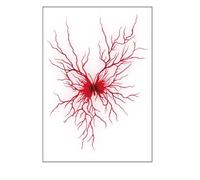 ARYU 10 Vascular Series Tattoo Stickers Simulation Blood Vessels Cell Stickers Lightning Tattoo Stickers Waterproof Sweatproof 10.5 × 14.8cm