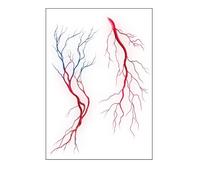 ARYU 10 Vascular Series Tattoo Stickers Simulation Blood Vessels Cell Stickers Lightning Tattoo Stickers Waterproof Sweatproof 10.5 × 14.8cm
