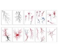 ARYU 10 Vascular Series Tattoo Stickers Simulation Blood Vessels Cell Stickers Lightning Tattoo Stickers Waterproof Sweat 10.5 × 14.8cm