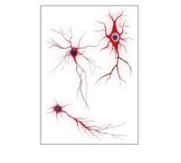 ARYU 10 Vascular Series Tattoo Stickers Simulation Blood Vessels Cell Stickers Lightning Tattoo Stickers Waterproof Sweatproof 10.5 × 14.8cm