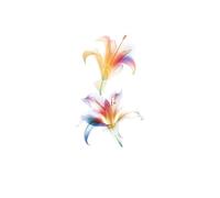 ARYU 1set4PCS Waterproof And Sweat-Proof Matte Disposable Sexy Fashion Clavicle Chest Scar Cover Colorful Flower Tattoo Discount Spot Female 12 * 7.6cm C
