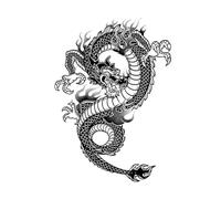 ARYU 4PCS Stunning Tiger Downhill Juice Herbal Tattoo Sheets - Waterproof, Permanent Arm Design, No Shining, Perfect for Him and Her, 12×19cm!-436