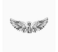 ARYU Back Herbal Tattoo Stickers For Men Waterproof And Long-Lasting Flower Chest Wings Tattoo Semi-Permanent Juice 28×16cm