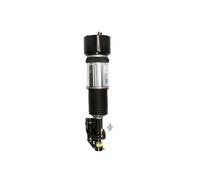 AS-2605 Front Right Left Air Suspension Spring Strut Shock Absorber By Arnott