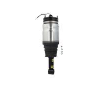 Arnott AS-2762 Air suspension strut