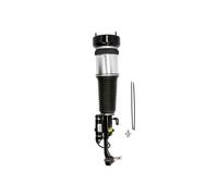 Arnott AS-2853 Air suspension strut