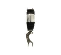Air Strut Front AS-3176 Arnott Suspension 102736100E 102736100G Quality New